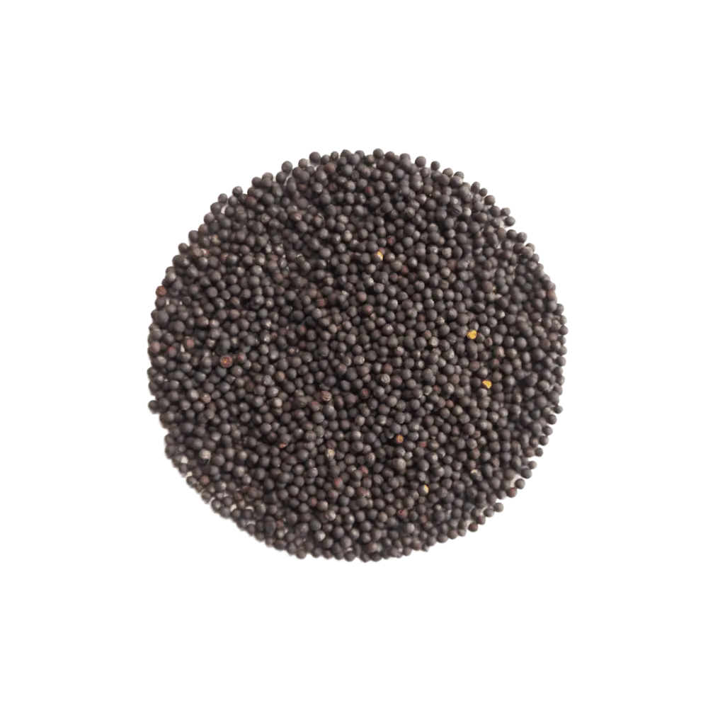 Brokkolisamen Calabrese
