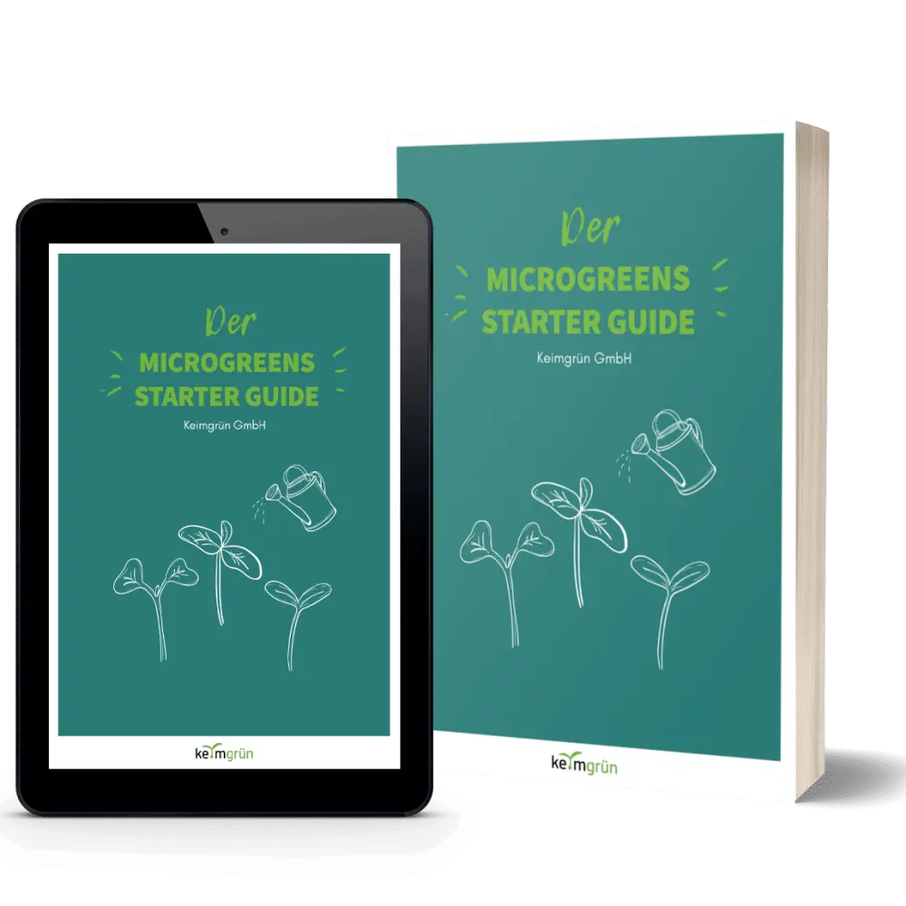 Starter Guide Ebook