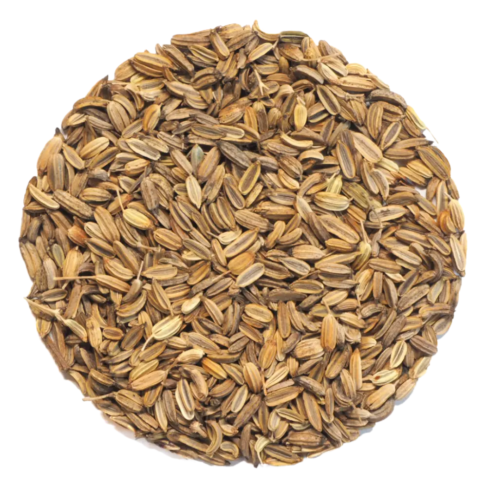 Fenchel Samen