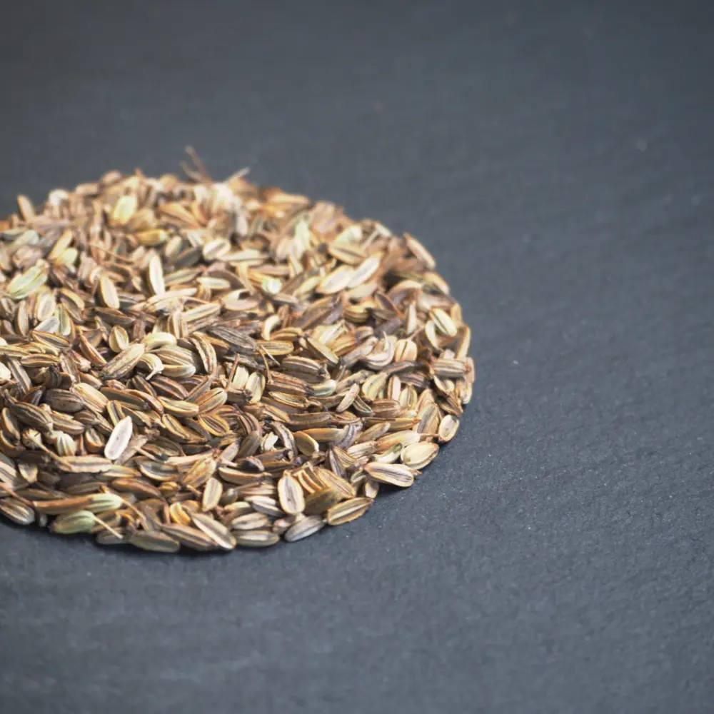 Fenchel Samen – Bild 3