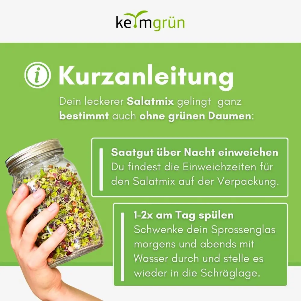 Sprossenmix Salat - Keimsaat/ Sprossensaatgut für den Wiederverkauf