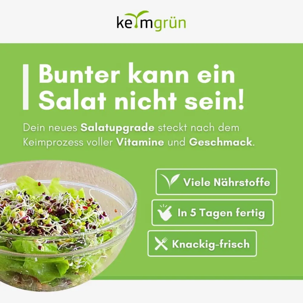 Sprossenmix Salat - Keimsaat/ Sprossensaatgut für den Wiederverkauf