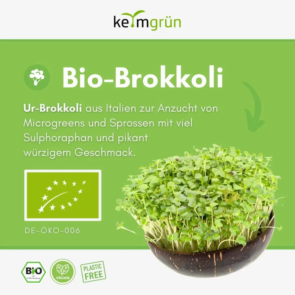 Keimsaat Sprossensamen Brokkoli