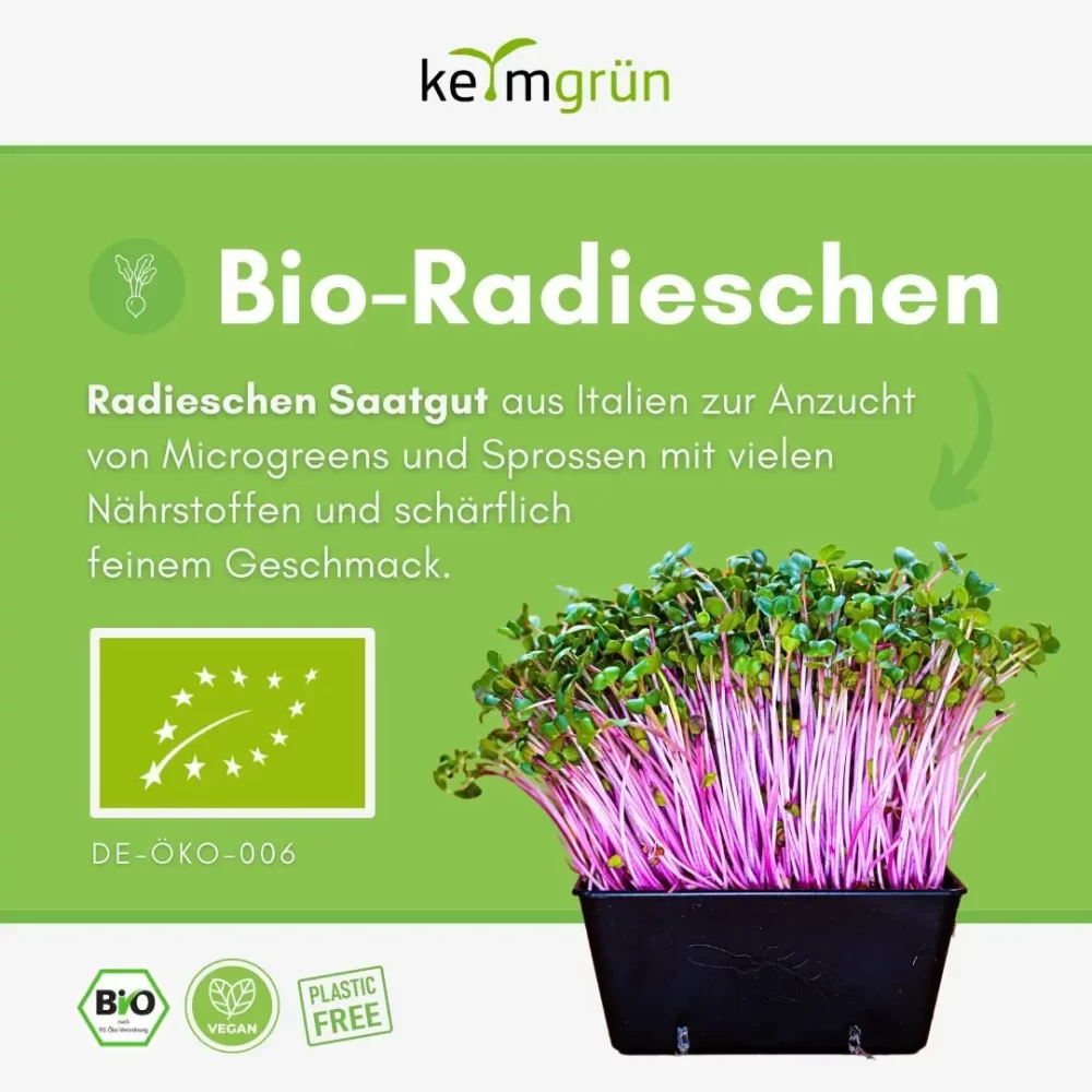 Radieschen Samen - 50g (10er VE) – Bild 3